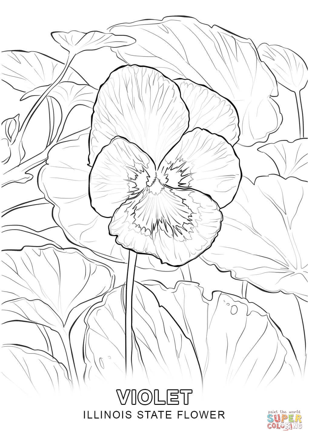 New Illinois State Flower Coloring Page Free Coloring Pages Download 1020x1440 New Illinois State Flower Coloring Page Free Coloring Pages Download