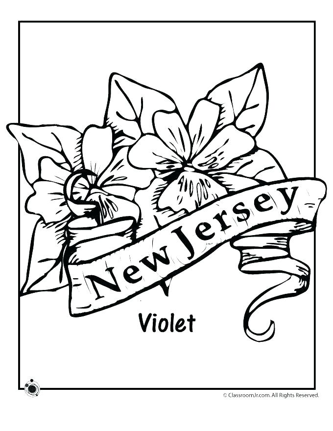 Ohio State Coloring Pages State Flower Coloring Pages Coloring 680x880 Ohio State Coloring Pages State Flower Coloring Pages Coloring