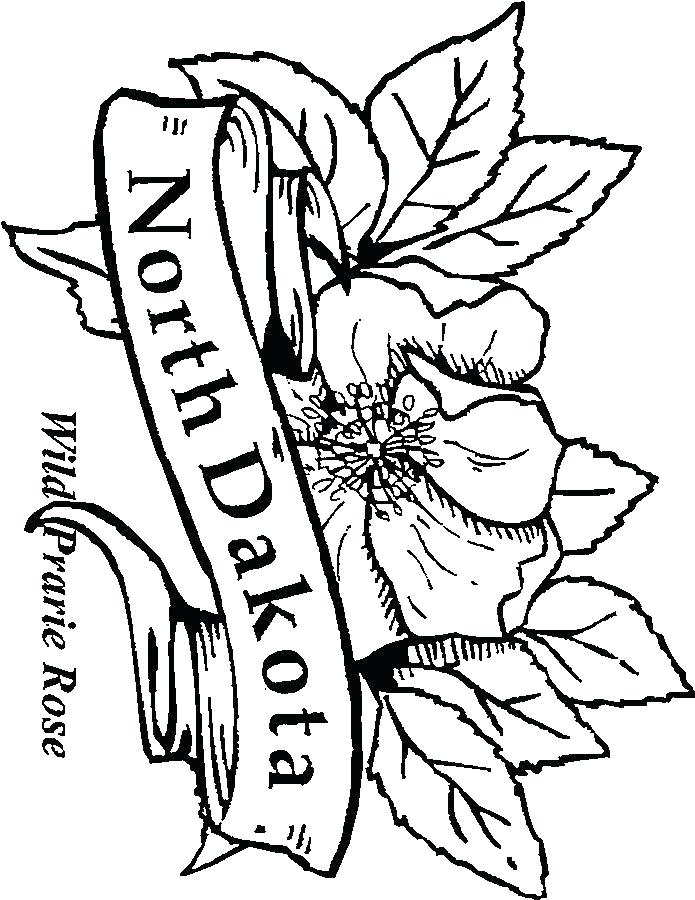 Arkansas Coloring Pages State Flower Coloring Pages Images 695x900 Arkansas Coloring Pages State Flower Coloring Pages Images