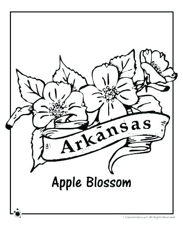 Arkansas Coloring Pages 369x478 Arkansas Coloring Pages