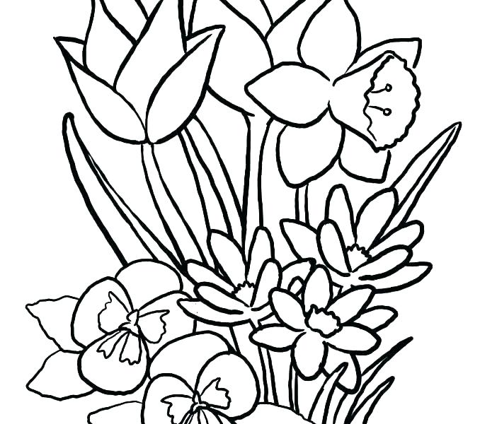 Free Flower Coloring Pages To Print 678x600 Free Flower Coloring Pages To Print