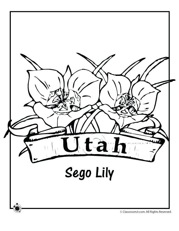 Coloring Pages Oklahoma State Flower Coloring Page Decorating 680x880 Coloring Pages Oklahoma State Flower Coloring Page Decorating