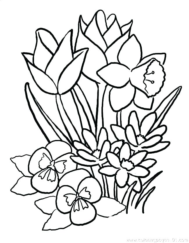 Flower Coloring Pages Printable Free Adult Coloring Page Free 650x835 Flower Coloring Pages Printable Free Adult Coloring Page Free