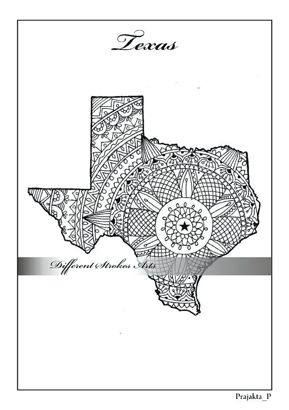 570x807 Texas Coloring Page Texas State Flower Coloring Page