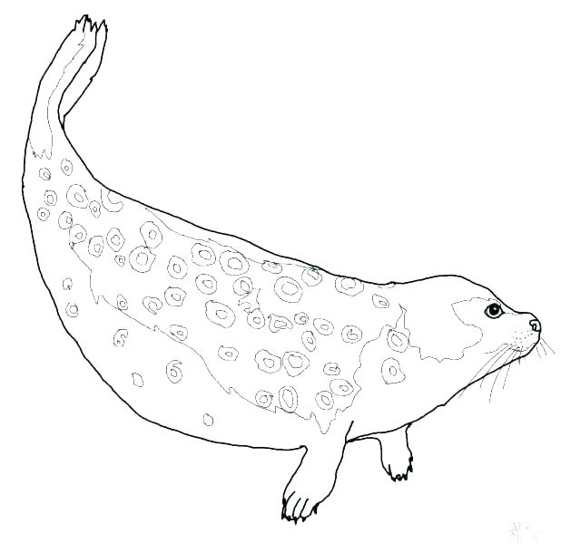 618x610 United States Coloring Pages Coloring Pages Map Coloring Page