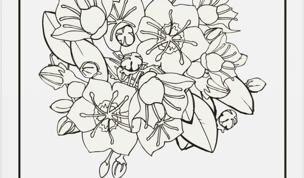 1024x600 State Coloring Pages Graphic Pennsylvania State Flower Coloring