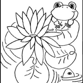 268x268 Coloring Pages Water Lily Kids Drawing And Coloring Pages