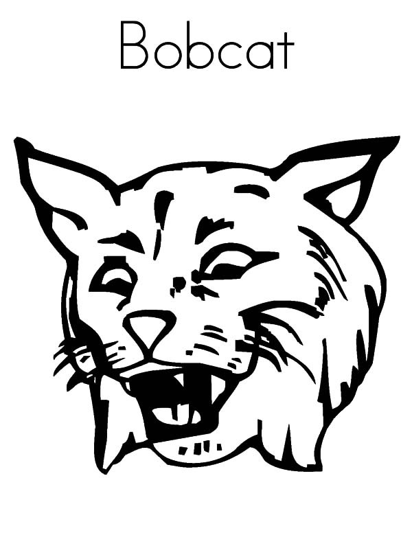 23 Bobcat Coloring Pages Images Free Coloring Pages 600x776 23 Bobcat Coloring Pages Images Free Coloring Pages