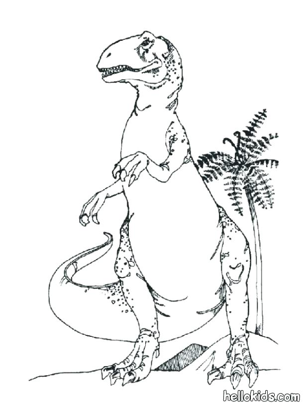 617x822 Stegosaurus Coloring Page Stegosaurus Coloring Page Dinosaur