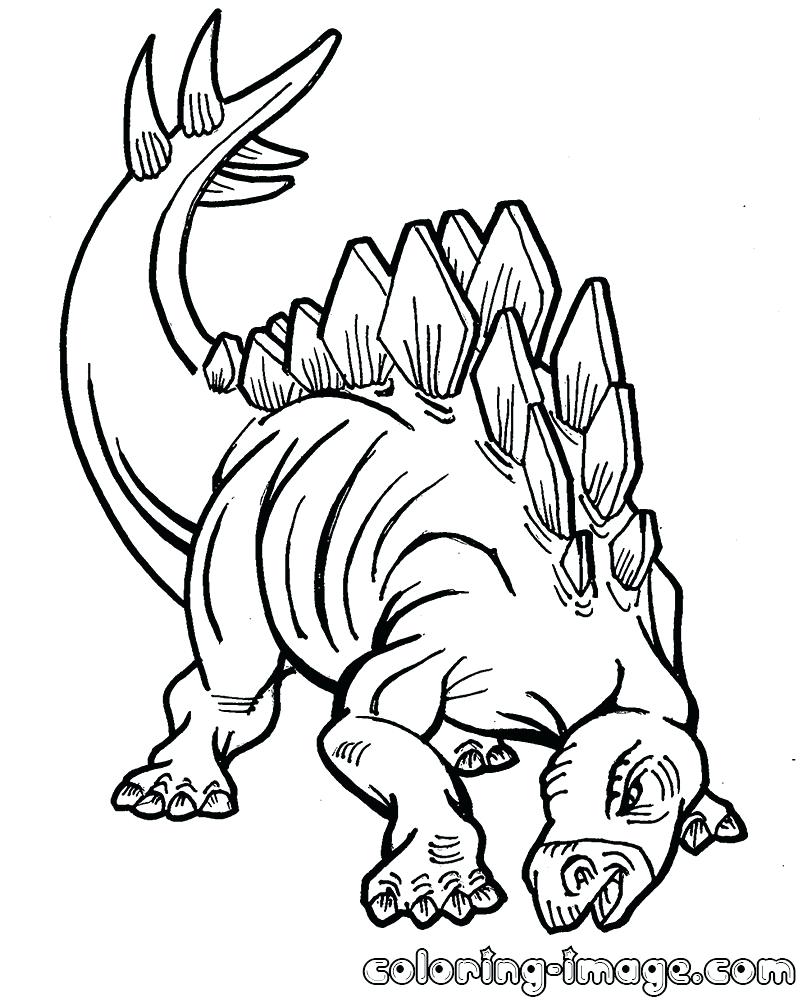 800x1000 Coloring Page ~ Stegosaurus Coloring Page Dinosaur Free Sheets