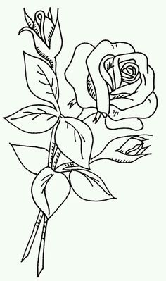 236x399 Free Coloring Pages Sheets Of Roses 007 Free Printable, Free