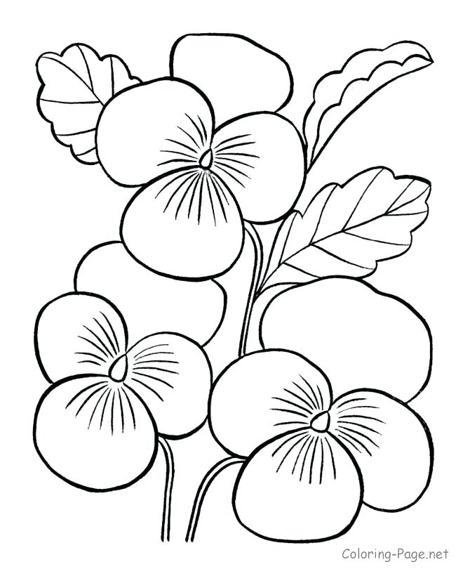 670x820 Outstanding Coloring Page Rose Outstanding Coloring Page Rose