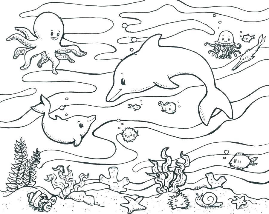900x717 Pond Life Coloring Pages