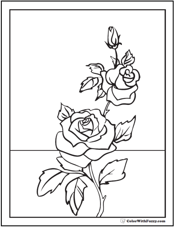 590x762 Rose Coloring Page Rose Buds On Stem