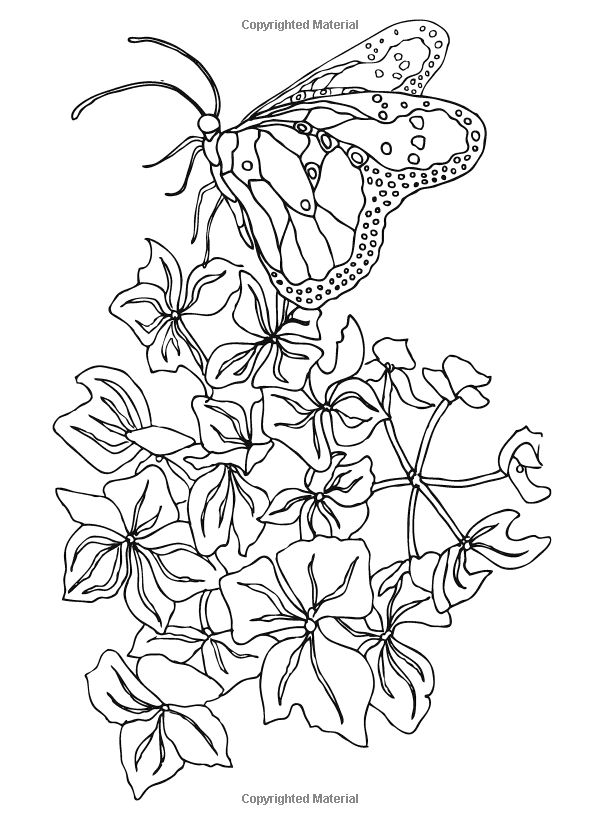 249 Best In The Garden 2 Color Images On Coloring 600x825 249 Best In The Garden 2 Color Images On Coloring
