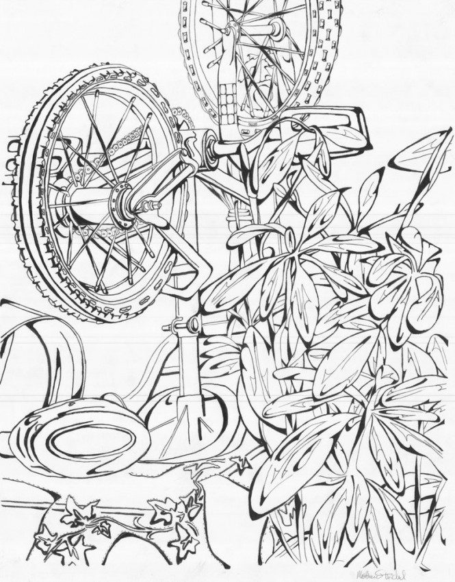 Outstanding Still Life Coloring Pages Component 665x850 Outstanding Still Life Coloring Pages Component