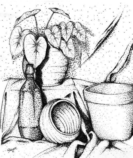Still Life Printable Coloring Pages Coloring Pages 549x650 Still Life Printable Coloring Pages Coloring Pages