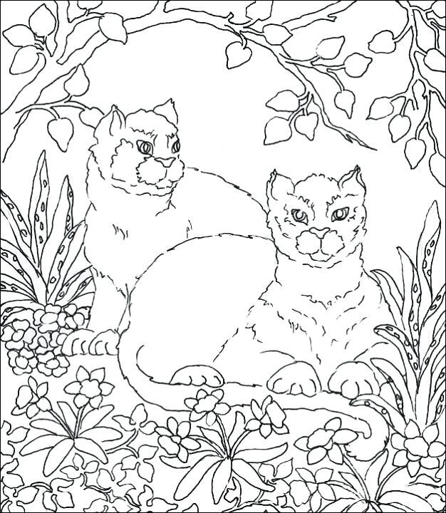 Cezanne Still Life Coloring Pages Kids Coloring Free Coloring 626x720 Cezanne Still Life Coloring Pages Kids Coloring Free Coloring
