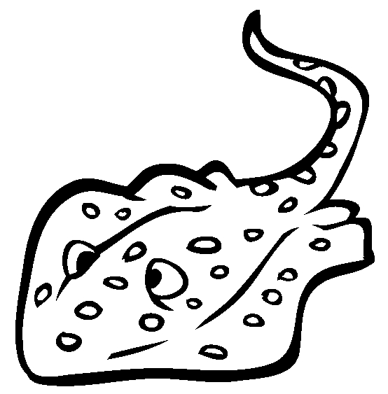 554x563 27 Stingray Coloring Page Collections Free Coloring Pages