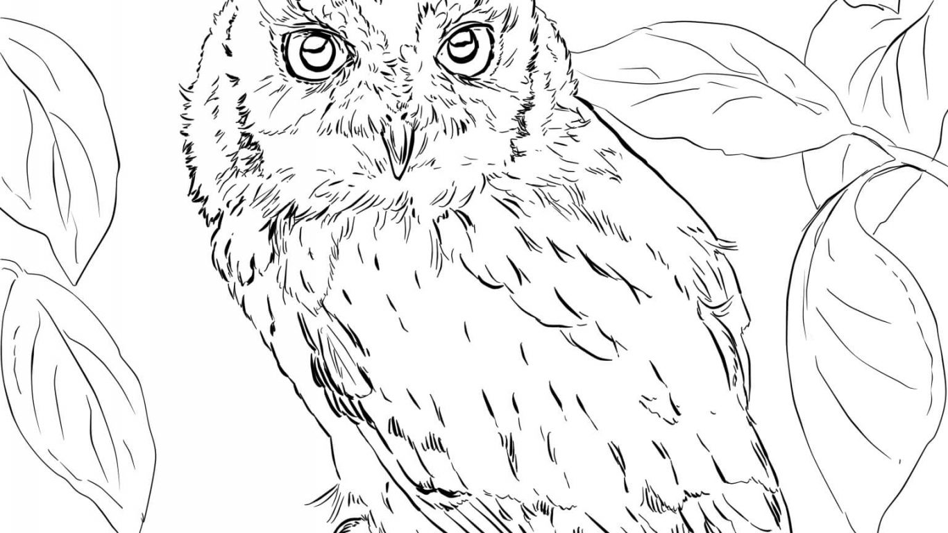 1366x768 Coloring For Kids Blue Spotted Stingray Pages Luxury Page And Fish