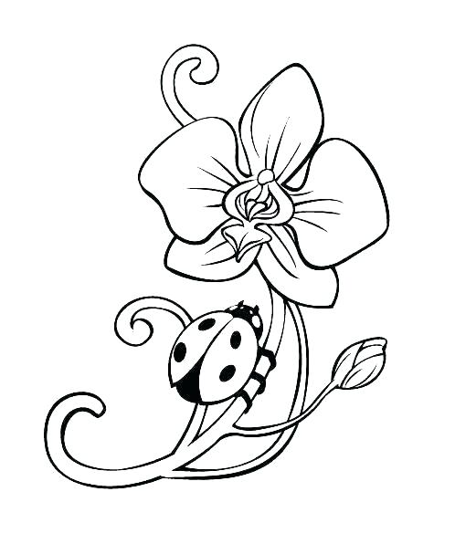 498x596 Ladybug Coloring Page Ladybug Coloring Sheets Ladybug Smiles