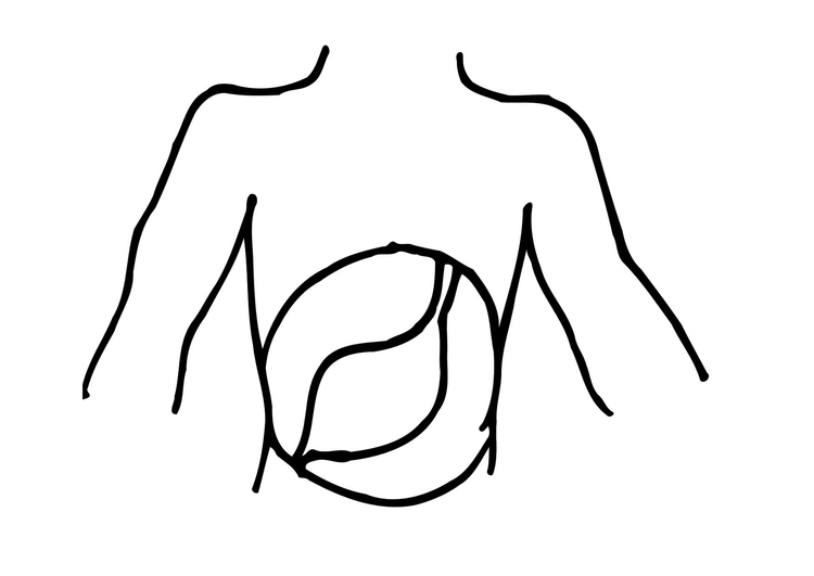 750x531 Coloring Page Stomach