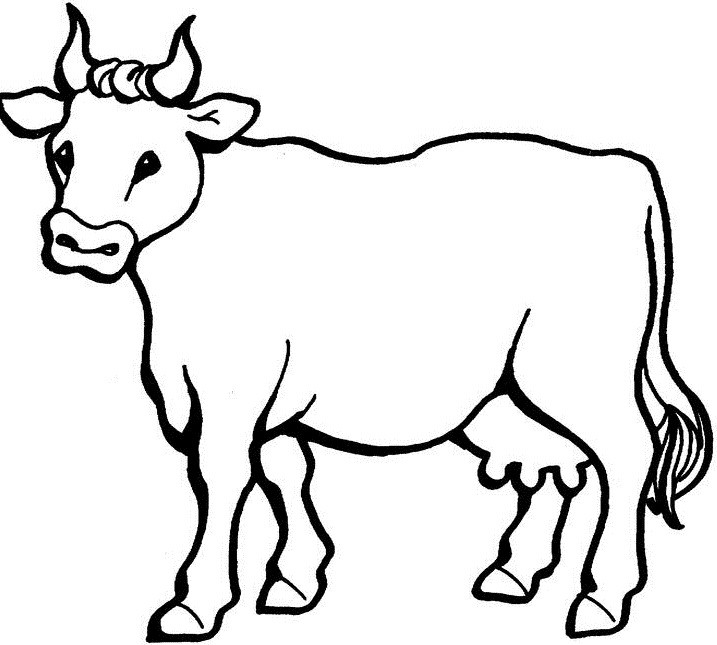 717x645 Cow Coloring Page Lovely Cows With The Big Stomach Cows