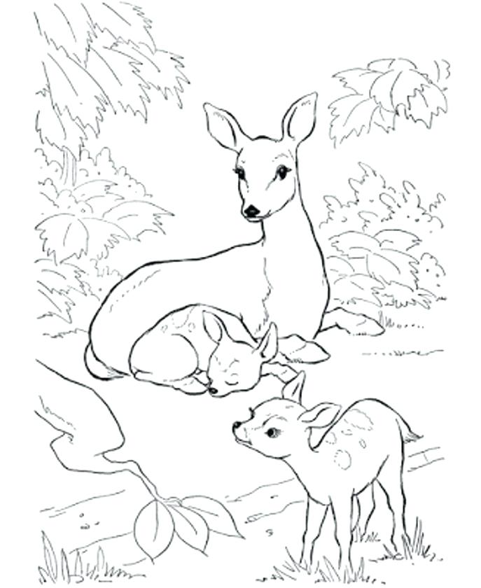 Browning Coloring Pages Medium Size Of Design Element Stone Age 687x840 Browning Coloring Pages Medium Size Of Design Element Stone Age