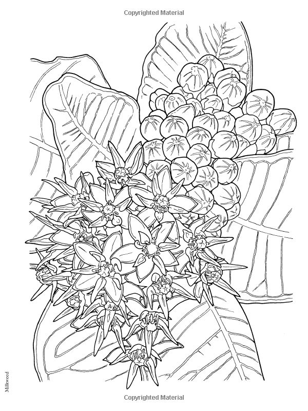 457 Best Coloring Books Images On Coloring Books 600x800 457 Best Coloring Books Images On Coloring Books