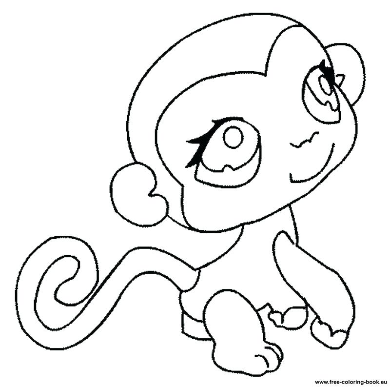 Pet Shop Coloring Pages Coloring Pages Littlest Pet Shop Page 2 800x795 Pet Shop Coloring Pages Coloring Pages Littlest Pet Shop Page 2