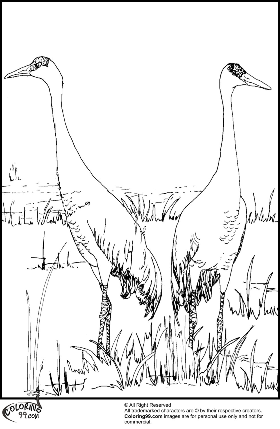 980x1500 Stork Coloring Pages Team Colors