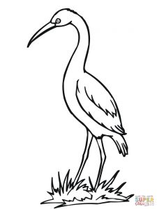 225x300 Canvases Of Stork Coloring Pages