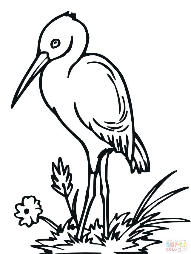 640x853 Stork Coloring Pages Stork Coloring Page Bird Free Stork Coloring