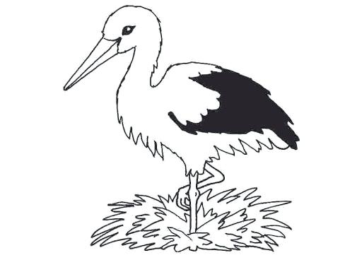 512x368 Stork Coloring Pages Stork Coloring Pages Print Convobox.co