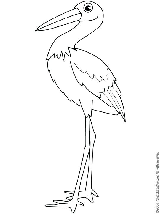 540x720 Stork Coloring Pages Stork Free Stork Coloring Pages Goodjelly.co