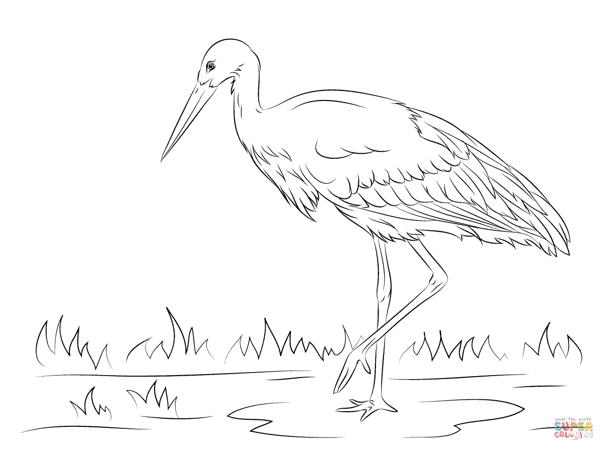 1200x895 Focus Storks Coloring Pages White Stork Page F