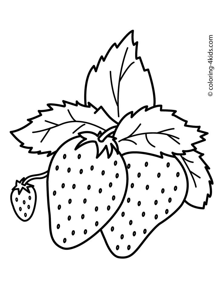 Strawberry Coloring Page at GetColorings.com | Free printable colorings ...