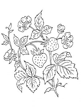 Strawberry Bush Embroidering Strawberry Bush 262x350 Strawberry Bush Embroidering Strawberry Bush