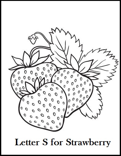 The Best Chosen Illustrations Of Strawberry Coloring Pages 392x507 The Best Chosen Illustrations Of Strawberry Coloring Pages
