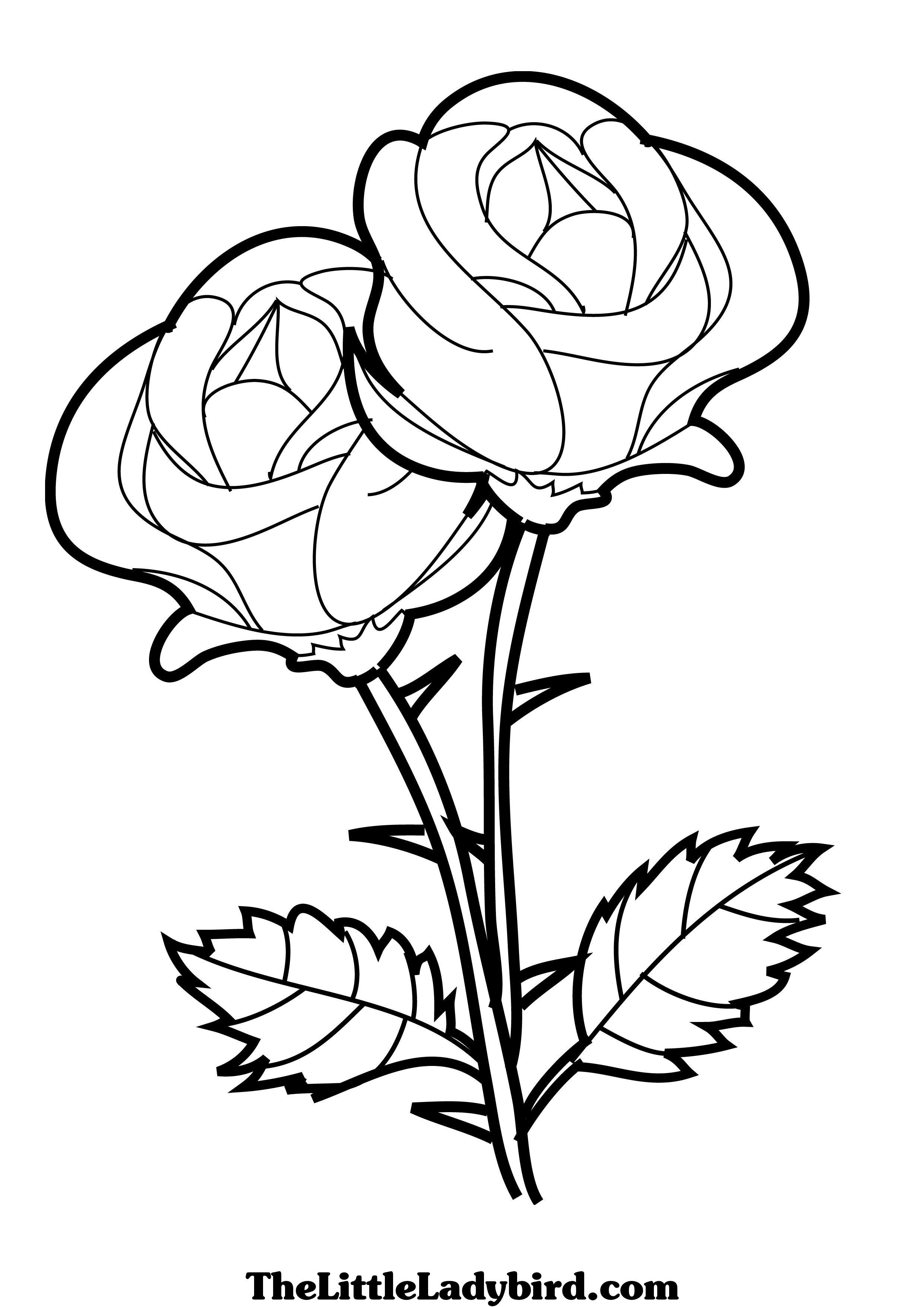 Three Flowers Coloring Pages For Kids Awesome Strawberry Plant 2480x3508 Three Flowers Coloring Pages For Kids Awesome Strawberry Plant