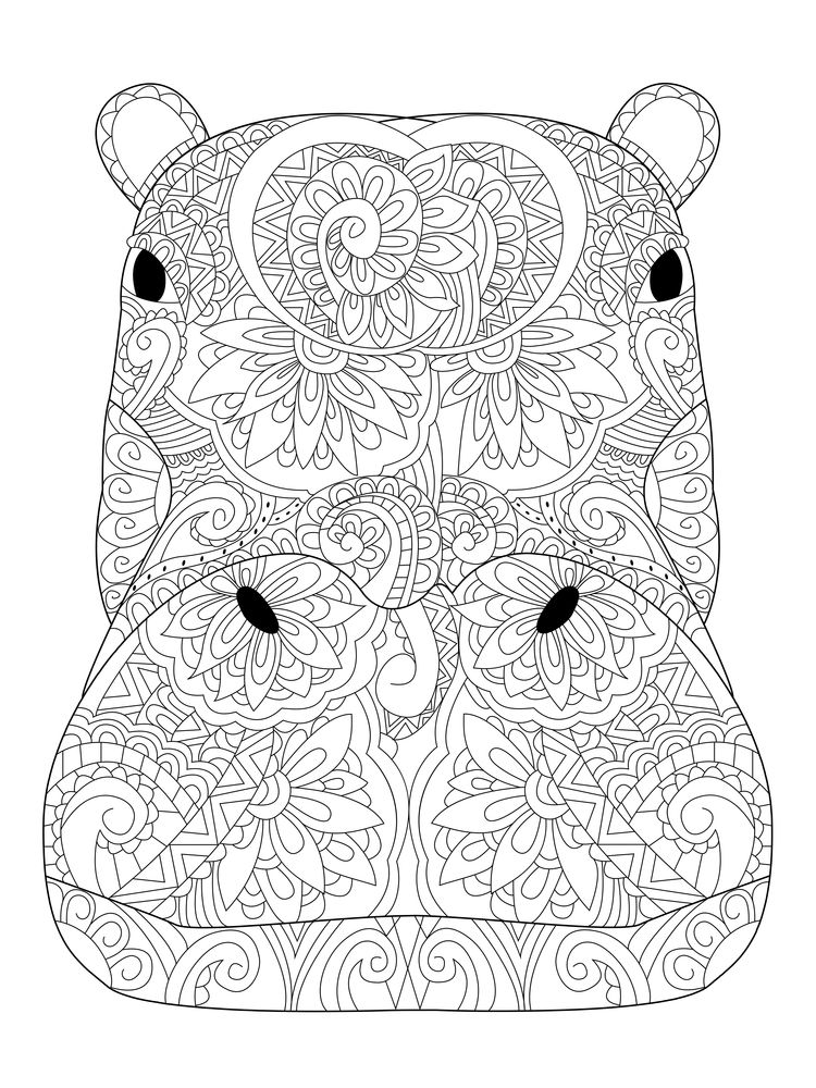 750x1000 Head Hippopotamus Coloring Book Vector Illustration. Anti Stress