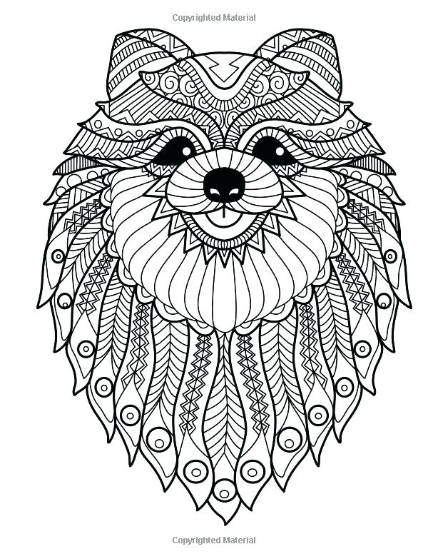 Stress Relief Coloring Pages Stress Coloring Printable Phoenix 600x783 Stress Relief Coloring Pages Stress Coloring Printable Phoenix