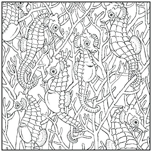 500x500 Adult Coloring Book Stress Relieving Flower Patterns Adult