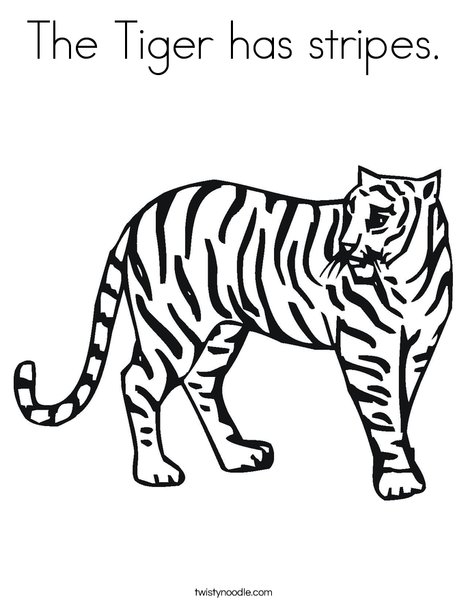 The Tiger Has Stripes Coloring Page 468x605 The Tiger Has Stripes Coloring Page