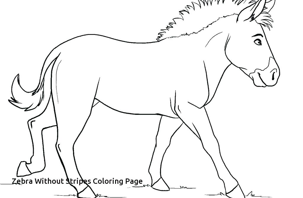 Zebra Coloring Pages Zebra Color Page Zebra Coloring Pages 1024x669 Zebra Coloring Pages Zebra Color Page Zebra Coloring Pages