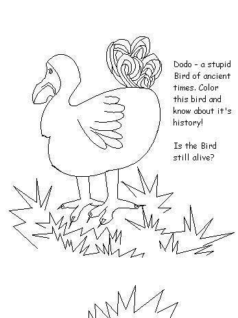 347x464 Dodo, The Stupid Bird