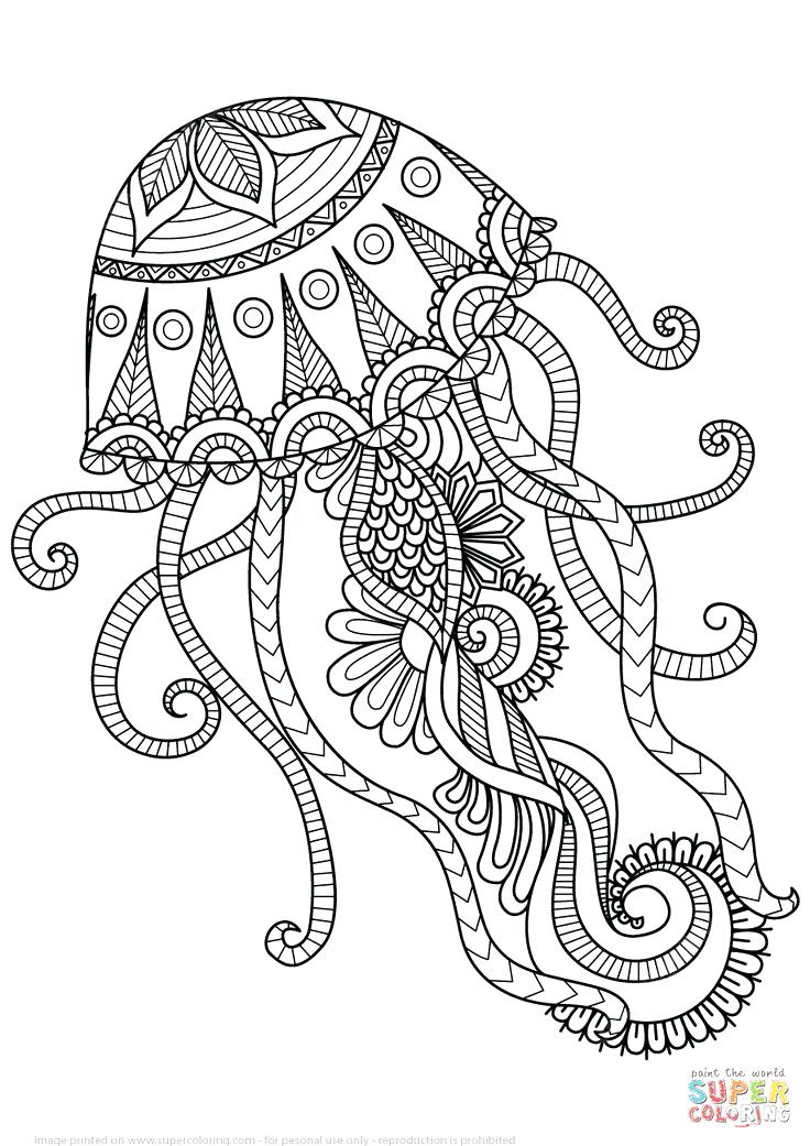 736x1041 Free Adult Coloring Pages