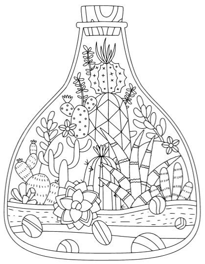 Succulent Coloring Page