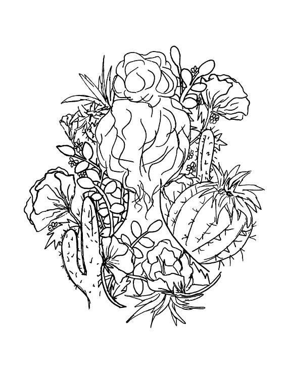 570x738 Coloring Page Floral Coloring Succulent Coloring Pages
