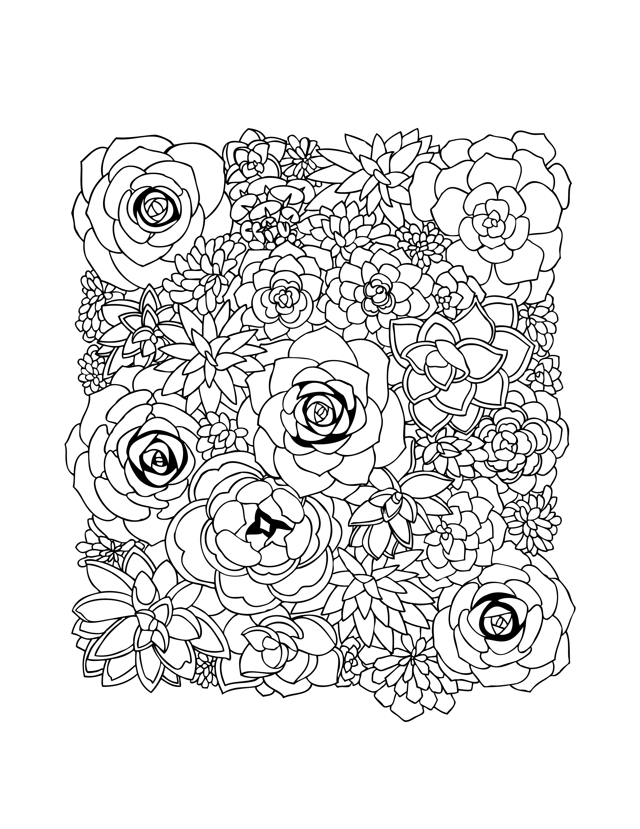 2550x3300 Free Coloring Page Of Succulents Boelter Design Co.